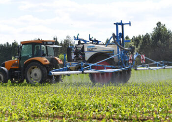 Unter dem Radar: Höchste Dosierung neuer Glyphosatversion für Äcker genehmigt