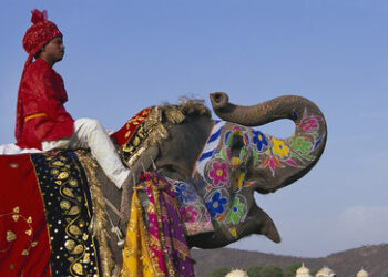 "Nicht aufzuhalten": Indien auf dem Weg zum Status einer Supermacht