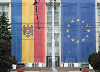 Aasgeier über Chișinău