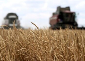 Belgorod: Agrarbetriebe erhalten millionenschwere Entschädigung für Kriegsschäden