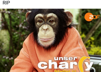 Charlie Kirk ermordet: Provokation statt Mitgefühl – die Reaktionen linker Kreise