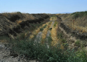 Estland baut Panzergraben an Grenze zu Russland