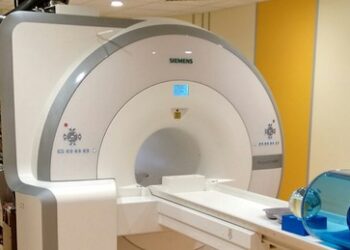 Jubel in Deutschland: Trump senkt die Zölle ‒ oder doch nicht?