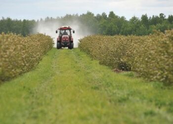 Kampf gegen Klima-Herausforderungen – mehr Unterstützung für Landwirte