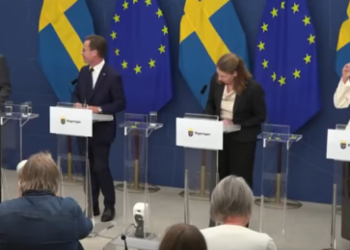 Neue schwedische Gesundheitsministerin bricht bei erster Pressekonferenz zusammen