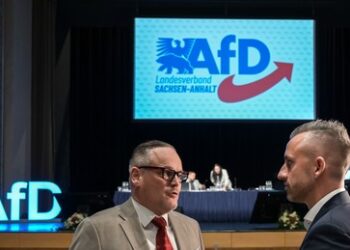 Niemand braucht die CDU: AfD strebt in Sachsen-Anhalt nach absoluter Mehrheit