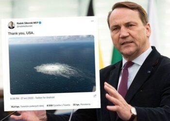 Polen soll Nord-Stream-Verdächtigem Asyl angeboten haben: "Für uns ist er ein Held"