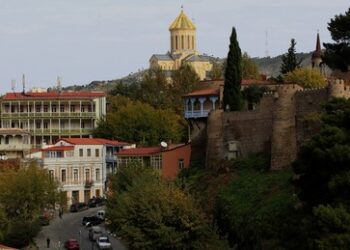 Politiker: Georgiens Wirtschaft wächst dank Beziehungen zu Russland