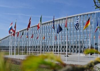 Reuters: NATO-Länder in Europa unzufrieden mit US-Reaktion auf Drohnenzwischenfall