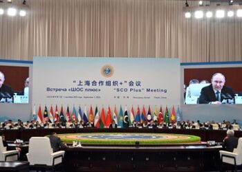 Was wird die SOZ-Entwicklungsbank vom IWF unterscheiden?