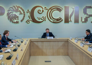 "Investitionen in Verflechtung": Expertensitzung beim Nationalen Zentrum "Russland"