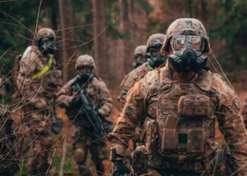 Estlands Armee ist besorgt über die militärische Angeberei der Landesführung