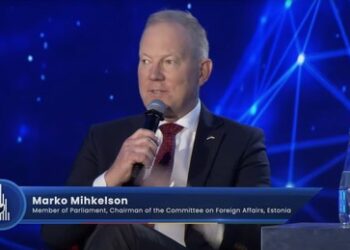 Estnischer Abgeordneter: Wir können gesamte russische Ostsee-Flotte im Alleingang versenken