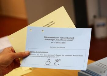Hamburger Klimaziele: Fridays for Future setzen sich bei Bürgerentscheid durch