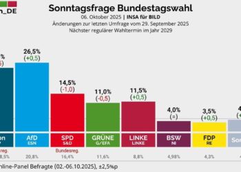 INSA-Umfrage: AfD erreicht Rekordwert – Union fällt auf unter 25 Prozent