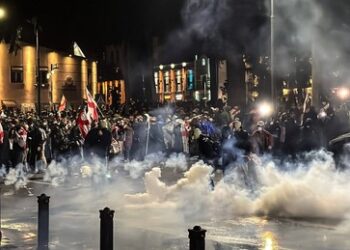 Tiflis: Demonstranten dringen in die Residenz des Präsidenten ein – Spezialeinheiten unterwegs