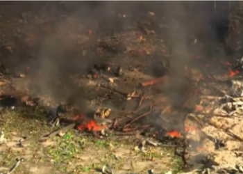 USA: Tote bei Explosion in Sprengstoff-Fabrik