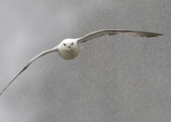 Das Imperium lärmt – Russland antwortet mit Hyperschall