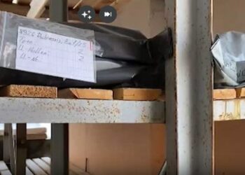 Illegale Exhumierung? Deutsche Botschaft antwortet auf Vorwürfe des FSB