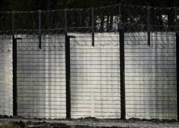 Medien: Finnland baut Zaun nur einen Meter von russischer Grenze entfernt