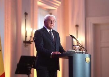 Nach Verbotsforderung von Steinmeier: AfD wirft dem Bundespräsidenten Amtsmissbrauch vor