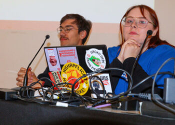 Richtungskampf in der "Linken": Jugendverband fordert rechte Parteigranden heraus