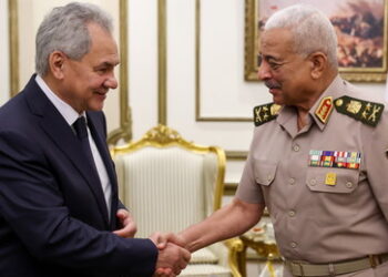 Schoigu: Russisches Kampfgerät bedeutsamer Bestandteil der Verteidigung Ägyptens