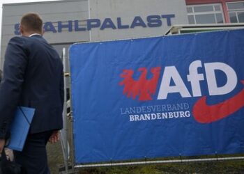 AfD erreicht Höchstwert in Brandenburg-Umfrage: Regierungsbildung ohne sie kaum möglich