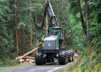 Biomasse-Gesetz: Bundesregierung verbietet mehrere Holzarten zur Verbrennung
