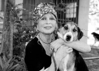 Brigitte Bardot im Alter von 91 Jahren gestorben