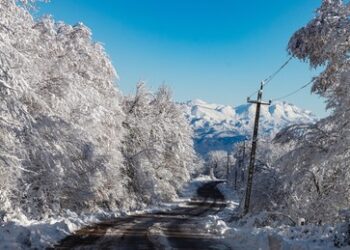 Diplomat: Logistische Routen im Südkaukasus ohne Russland und Iran nicht rentabel