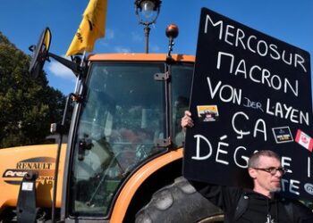 Frankreichs Nationalversammlung stellt sich gegen Mercosur-Abkommen