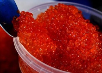 Leckeres Geschenk für Trump: Republikaner bekommt Kiste mit Lachskaviar aus Russland