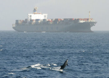 Medienbericht: USA fangen Frachtschiff aus China ab und beschlagnahmen Militärladung für Iran