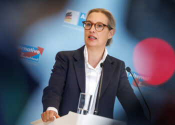 Neue Insa-Umfrage: Die meisten Deutschen wünschen sich Weidel als Kanzlerin