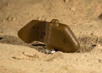 Nun offiziell: Litauen kein Mitglied des Ottawa-Übereinkommens über Antipersonenminen mehr