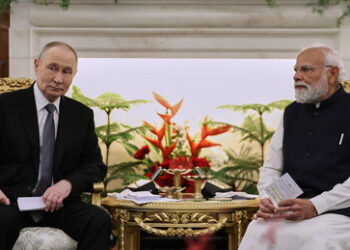 Putin in Indien: Botschaft an Washington und Ausbau der Partnerschaften im Globalen Süden