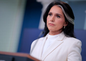 Reuters im Dienst des Tiefen Staates? US-Geheimdienstchefin wirft der Agentur Lügen vor