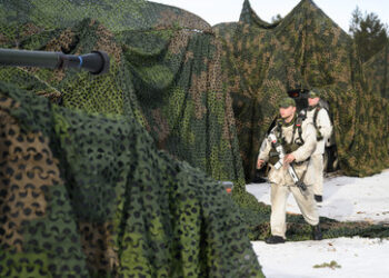 Schwedischer Oberbefehlshaber: Europa bedauert sich selbst