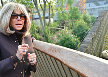 Skandal um die französische Präsidentengattin: Brigitte Macron und die "dummen Schlampen"