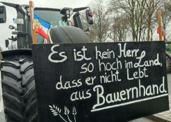 Von der Leyen cancelt Brasilienreise – Mercosur-Abkommen auf Januar verschoben