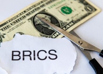 Was ist "The Unit" und warum ist es für die BRICS+ wichtig?