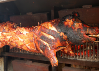 Wladimir Putin und die europäischen Spanferkel – Wortwahl und Implikationen für Europas Völker