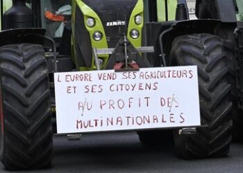 "Wir sterben nicht schweigend!" – Europäische Bauern protestieren gegen Mercosur-Freihandelszone