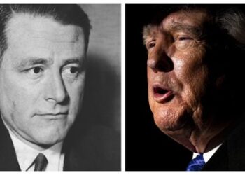 Beliebt bei der AfD: Carl Schmitts Großraumtheorie und die "Donroe"-Doktrin