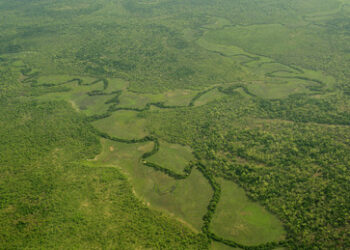 Russische Spezialisten wehren Invasion im Herzen Afrikas ab