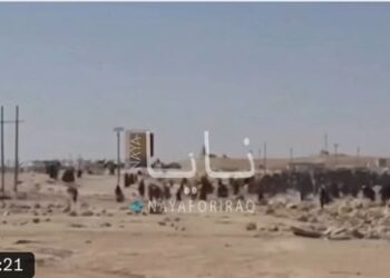 Syrien unter Al-Schaaras Herrschaft: IS-Häftlinge brechen aus Gefängnissen aus