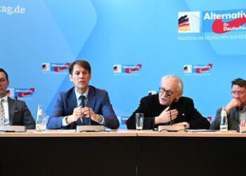 Warnung vor Zensur durch "Altparteien": AfD-Fraktion lehnt Social-Media-Verbot für Jugendliche ab