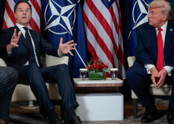 "Grönland-Deal": Trump stoppt Zoll-Umsetzung – Rutte will "Arktis vor Einfluss Russlands schützen"