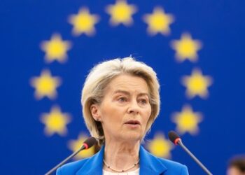 Das Zensurmonster der EU ‒ Wahlen unter Aufsicht (Teil 2)